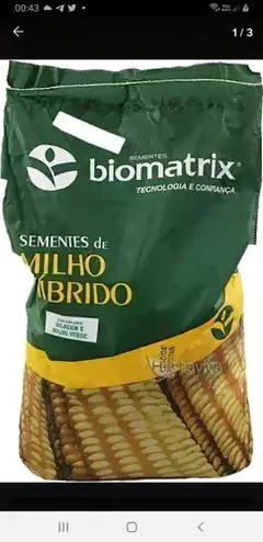 Sementes de Milho Híbrido BM 3066 Pro 3 - 2 Kg - TangaShop ofertas l Frete Grátis para todo Brasil