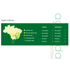 Semente de Milho Híbrido Branco Bmb 600 - 60.000 sementes + Frete - TangaShop ofertas l Frete Grátis para todo Brasil