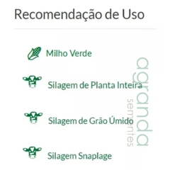 Semente de Milho Hibrido Bm 3066 Pro 2 - 2KGs-milho verde - TangaShop ofertas l Frete Grátis para todo Brasil