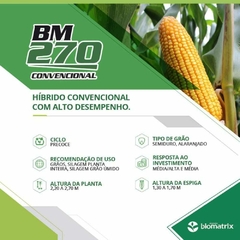 Semente Milho Híbrido Bm 270 - 60.000 sementes + frete - comprar online