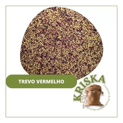 Sementes Trevo Vermelho 5 Kg na internet