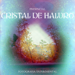 Cristal de Haluro | Fotografía Analógica Experimental Presencial