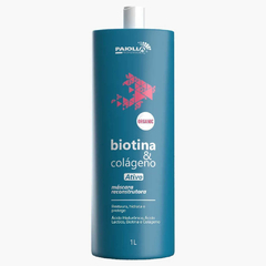 Kit Progressiva Biotina Shampoo e Ativo - Paiolla - comprar online