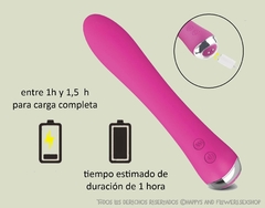 Vibrador recargable con función calor Nicola en internet