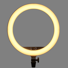 Aro de luz, Godox LR150 Bi-Color LED (45 cm) - comprar online
