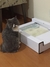 Sanitário Automático Caixa de Areia Para Gatos - loja online
