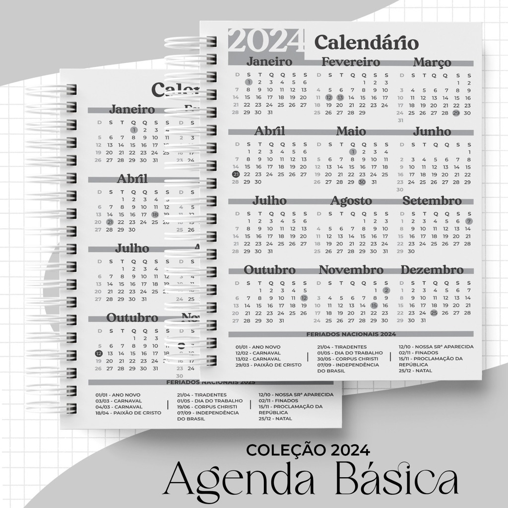 Planner Diário 2024 (6 Meses)