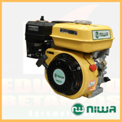 Motor horizontal Niwa MNW-55