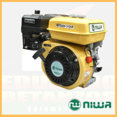 Motor horizontal Niwa MNW-65