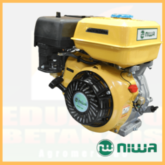 Motor horizontal Niwa MNW-80