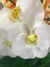 Arranjo de Orquídea Branco - comprar online
