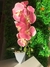 Arranjo Orquídea Rosa