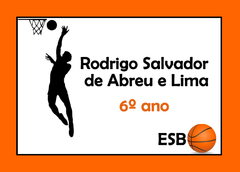 ESCOLAR BASQUETE 2