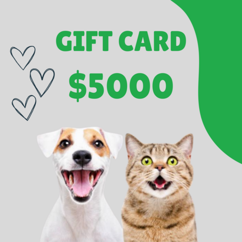 Gift Card $5000