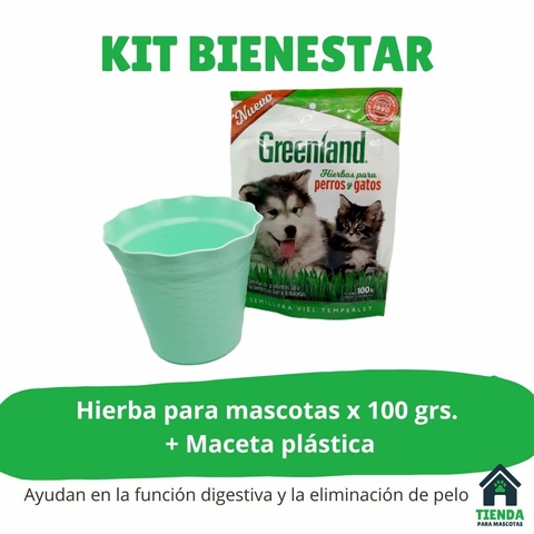 Hierba para mascotas + Maceta plastica