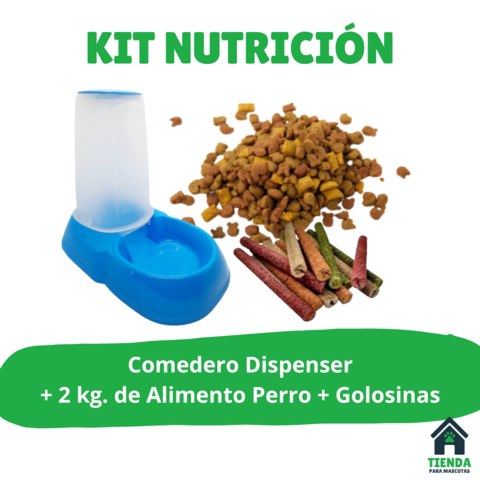 Comedero + 2 kg Alimento Perro + Hueso + Golosinas