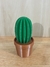 Cactus Grusoni - comprar online