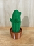 Cactus San Pedro - comprar online