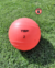 Medicine Ball medio pique 2kg