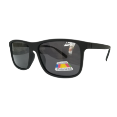 Polarized BO18079