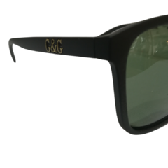 Polarized P24AZ en internet