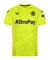 Camisa Wolverhampton Goleiro ll 23/24 Castore Torcedor - Verde