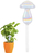 Cogumelo auto irrigavel - Portal Isha Home Decor