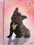 Caderno Espiral Pequeno 1/4 My Pets - São Domingos - comprar online