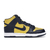 Nike Dunk High Michigan (2020)