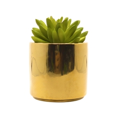 Vaso Dourado Montado Suculenta 13 cm - Noble House