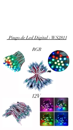 Pingo de Led Digital - Pixel WS2811 RGB 12V 50unidades