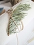 Ramas de pino para decorar empaques de regalo en internet
