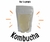 Scoby para hacer Kombucha bebida fermentada a base de té en casa