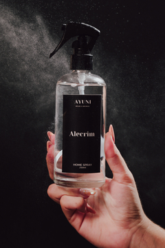 Home Spray de 250ml - AYUNI - VELAS & AROMAS