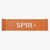 SPRI - Kit 3 bandas circulares - 38 cm x 10 cm - comprar online
