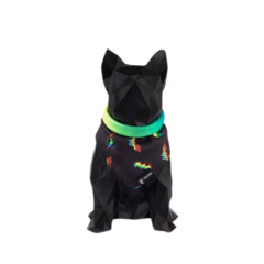 Bandana Pride para Cães e Gatos Freefaro