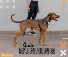 Guia Running Flat Shadow para Cães FreeFaro - comprar online