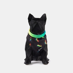 Bandana Pride para Cães e Gatos Freefaro na internet