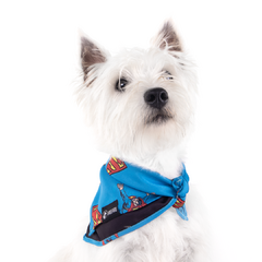 Bandana Superman para Cães e Gatos Freefaro - comprar online