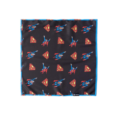 Bandana Superman para Cães e Gatos Freefaro na internet