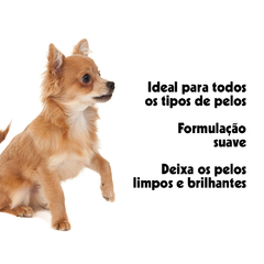 Shampoo e Condicionador Para Cães e Gatos Natural Pet Clean 700ml - loja online