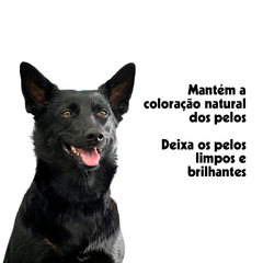 Shampoo e Condicionador Para Cães e Gatos Pelos Escuros Pet Clean 700ml - comprar online