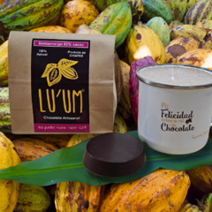 Semi-Sweet Chocolate 60 % cacao [8.8 oz] - online store