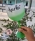 Taça Gin Degradê Verde Personalizada 550ml - comprar online