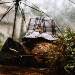 Imagen de Bolsitas de lluvia: