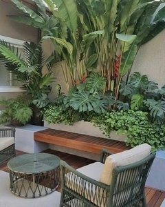 Un espacio exterior decorado con plantas tropicales exuberantes y un mobiliario acogedor, incluyendo sillones y una mesa de centro.