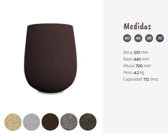 strelitzia nicolai + Maceta Simil Piedra - comprar online