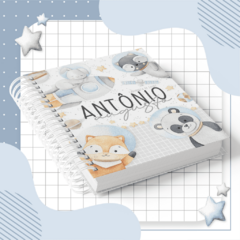 Kit Livro do Bebê + Caderneta de Saúde e Vacinação Menino - Tema Astronauta animais aquarela - loja online