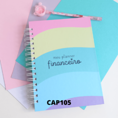 Planner Financeiro Anual Permanente - Capas Candy Collor - loja online