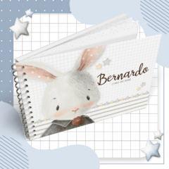 Kit Livro do Bebê + Caderneta de Saúde e Vacinação Menino - Tema Coelho - comprar online